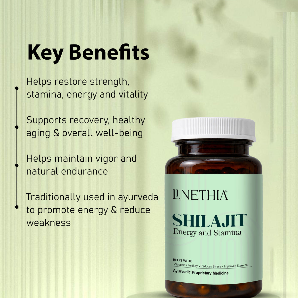 LINETHIA Shilajit Capsules | Energy & Stamina Support