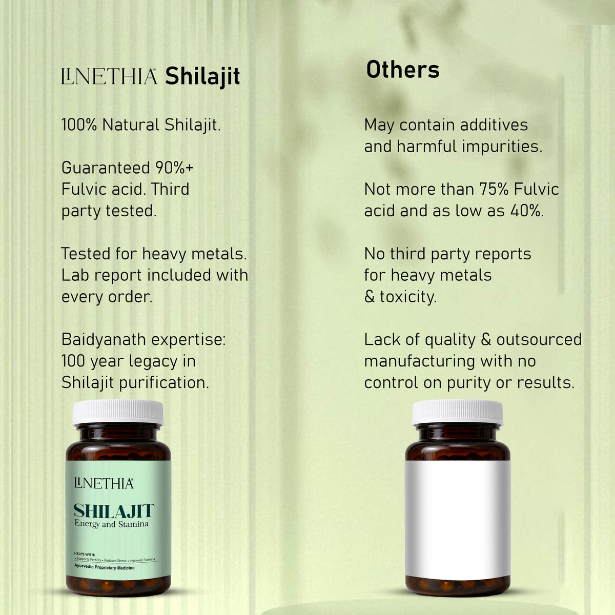 LINETHIA Shilajit Capsules | Energy & Stamina Support